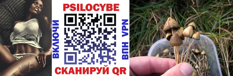 кракен ТОР Новочебоксарск Галлюциногенные грибы Psilocybine cubensis где продают